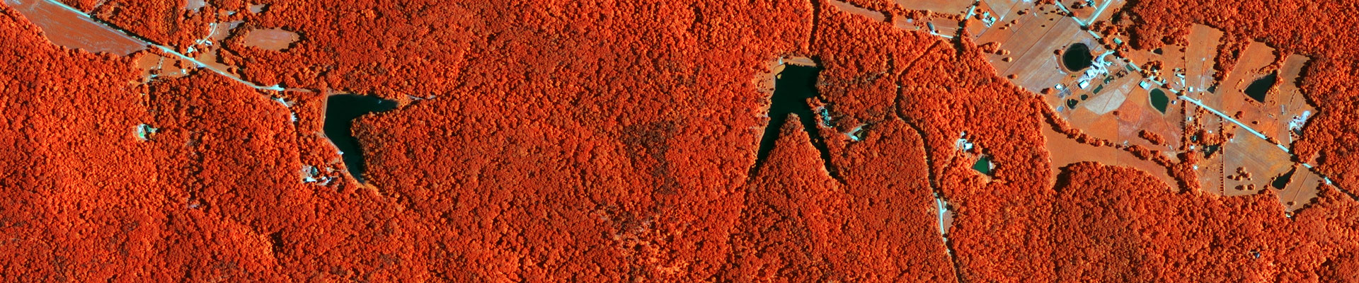 Clark State Forest, Indiana (2012)